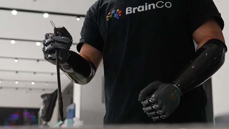 OA协同办公企业版与标准版：差异解析与选型指南